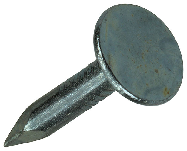 Schalienagel staal verzinkt 100 gr 3,0 x 20 mm