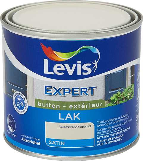 LV EXPERT LAK BUITEN SATIN 1372 500 ML