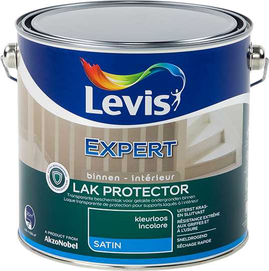 LV EXPERT LAK BINNEN PROTECTOR 2,5 L